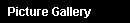 Picture Gallery